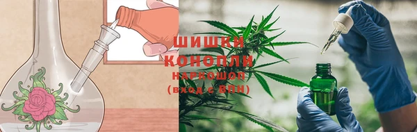 дмт Белокуриха