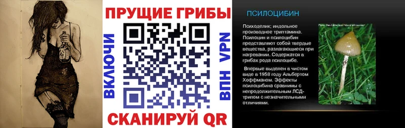 где найти наркотики  Валуйки  Псилоцибиновые грибы Magic Shrooms 