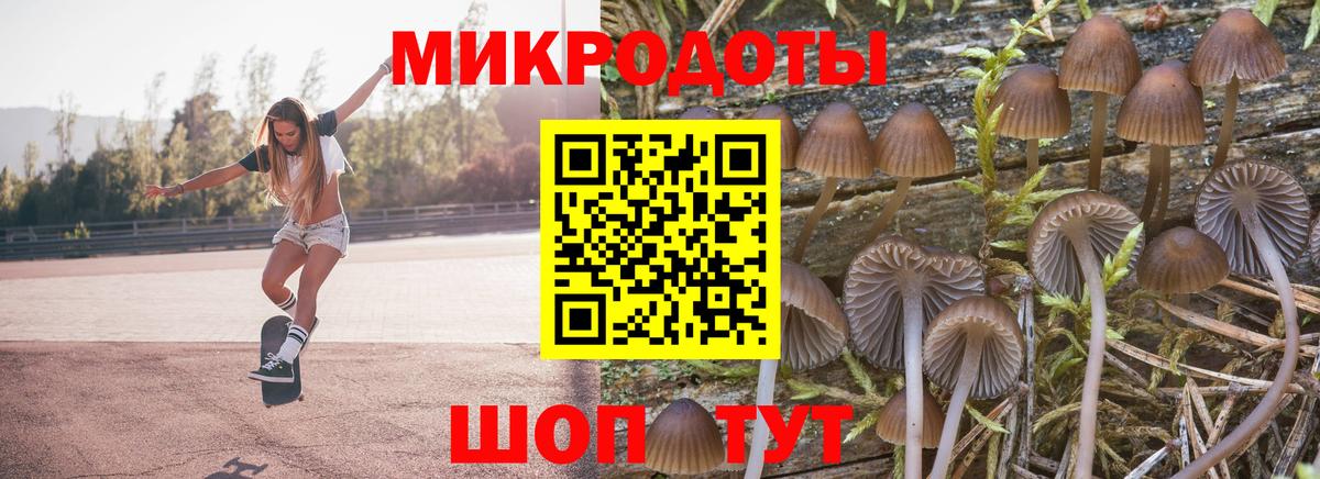 Валуйки  как найти закладки  Вход с VPN  Галлюциногенные грибы GOLDEN TEACHER 