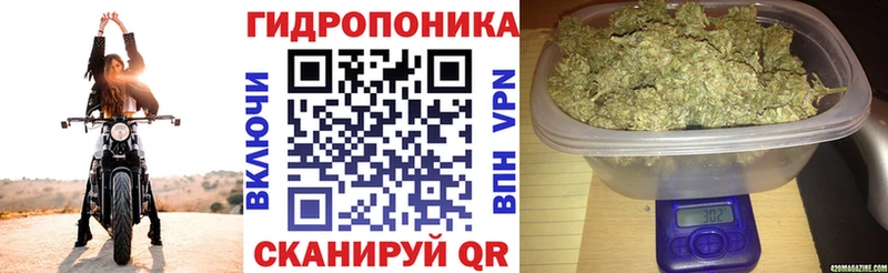 Бошки марихуана план  OMG маркетплейс  Валуйки 